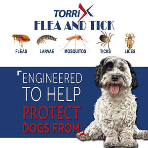 d flea collar, flea collar for dogs, flea and tick collar for dogs, flea and tick collar for puppies