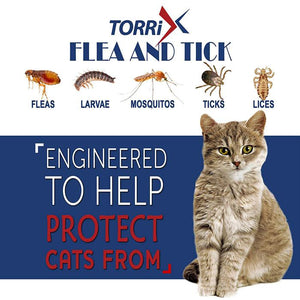 cat flea and tick collar, flea and tick collar for cats, kitten flea collar, cat flea tick collar, flea collar for cats, cat flea collar, flea collar for kittens
