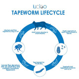 cat dewormer, kitten dewormer, wormer for kittens, tapeworm meds for cats, deworming medicine for cats, worm medication for cats