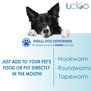 canine dewormer, wormer for dogs, dewormer for dogs, wormer for puppies, worm medicine for puppies, heartworm meds for dogs