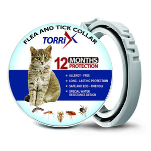 cat flea and tick collar, flea and tick collar for cats, kitten flea collar, cat flea tick collar, flea collar for cats, cat flea collar, flea collar for kittens